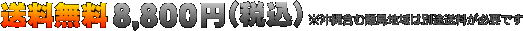 ��������8,800�~�i�ō��j �������n��ʑ���